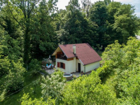 Lovely holiday house with big private garden